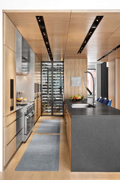  Modern Apartment Kitchen. Cobble Hill Townhouse by Workshop APD.