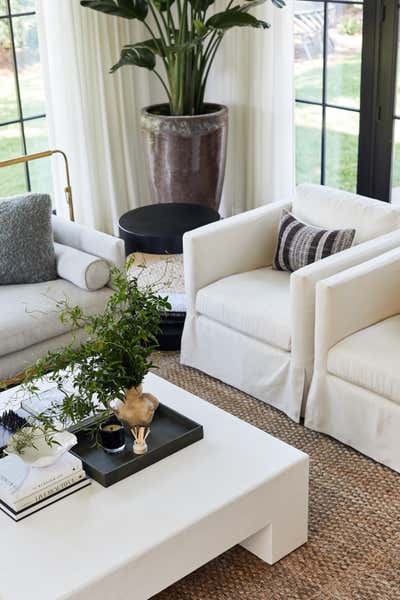  Organic Transitional Family Home Living Room. Oaklawn Ave by Tara Cain Design.
