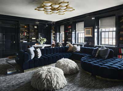  Transitional Living Room. Chicago Residence by Sasha Adler Design.