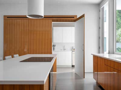  Minimalist Family Home Kitchen. Cubist Mansion by Jeffrey Bruce Baker Designs LLC.