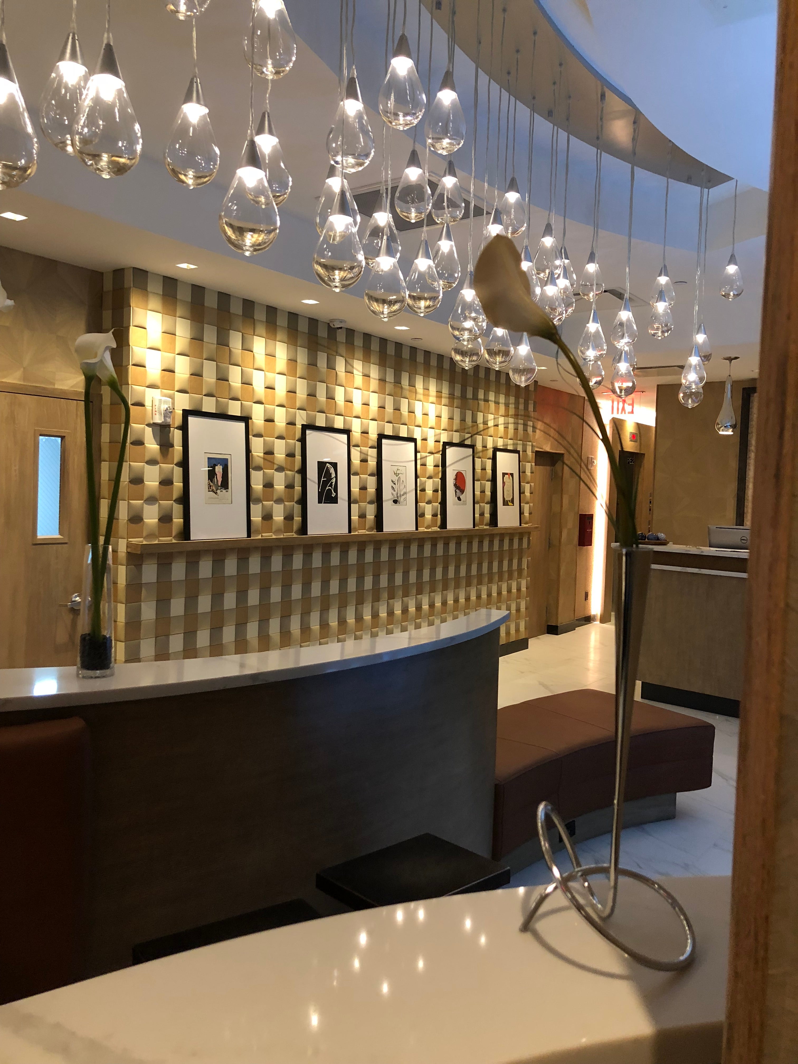 Contemporary Lobby and Reception