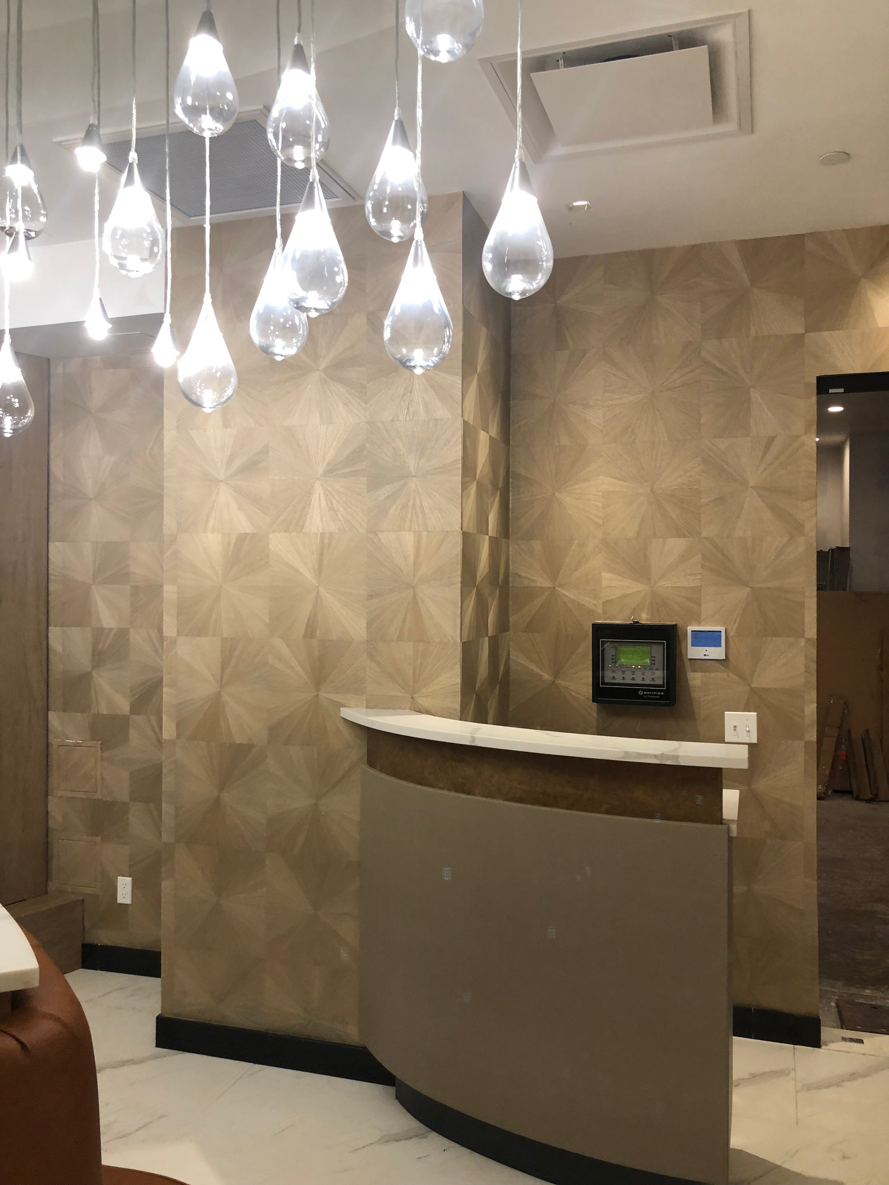 Contemporary Lobby and Reception