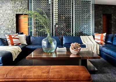  Modern Family Home Living Room. Hillside Modern Oasis by Anita Lang/IMI Design.