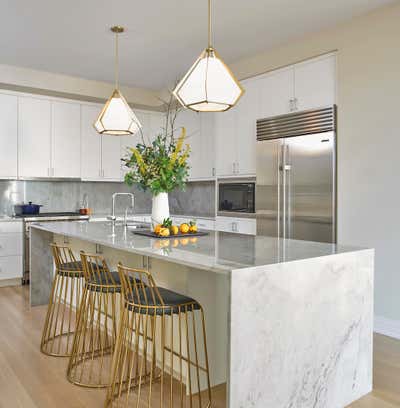  Contemporary Transitional Family Home Kitchen. Deming Place On The Park by Studio Gild.