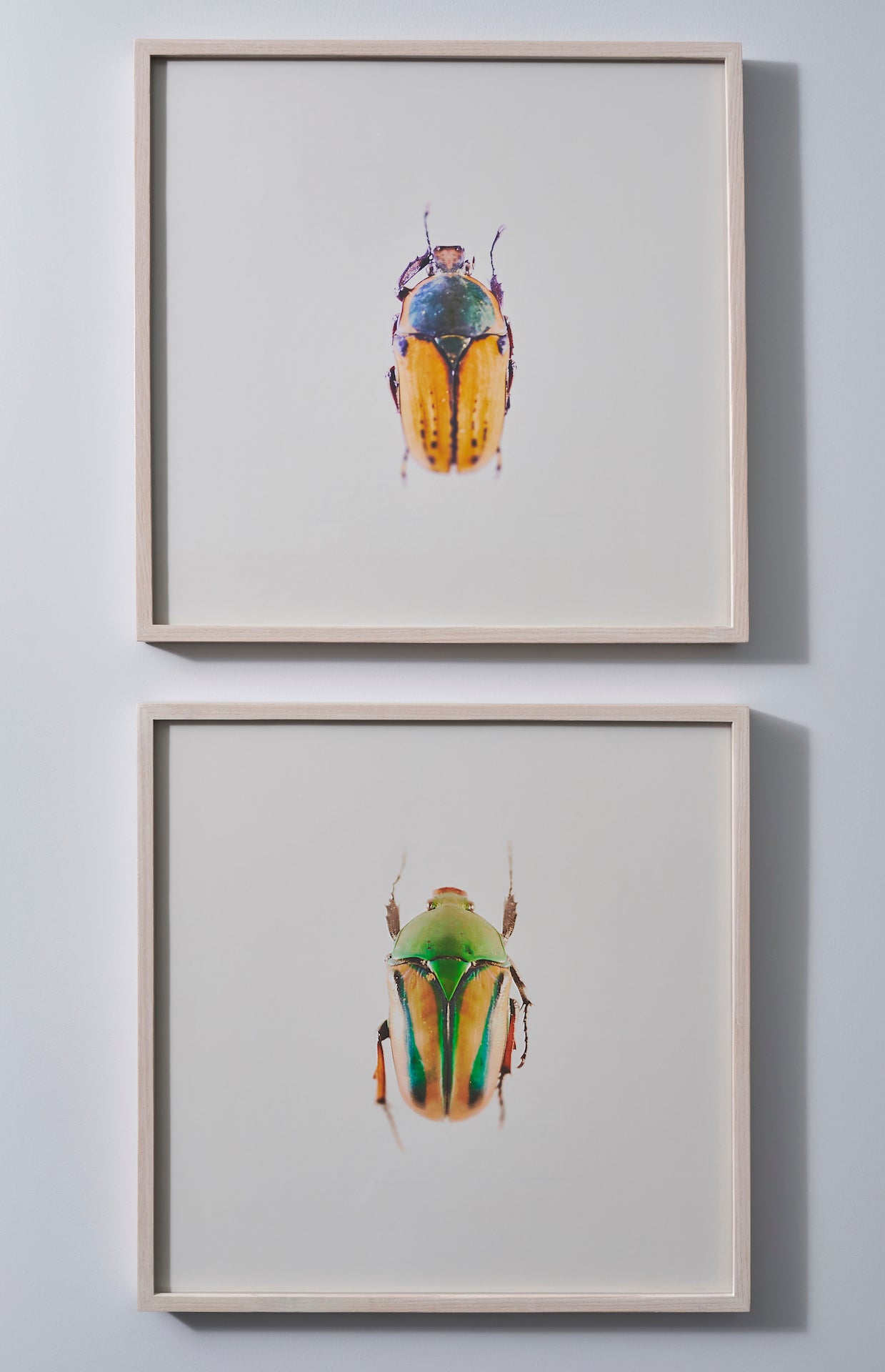 Contemporary Children
s Room