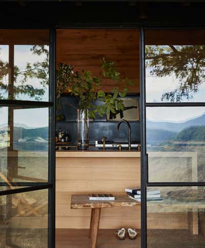 Mid-Century Modern Kitchen. Above the River Gorge by Betsy Brown Inc.