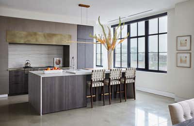  Modern Apartment Kitchen. Chicago Loft by Butter and Eggs.