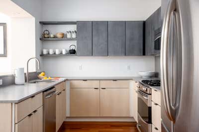  Modern Family Home Kitchen. Boston Renovation by Seviva Design.