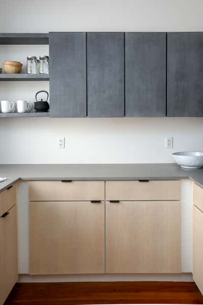  Minimalist Kitchen. Boston Renovation by Seviva Design.