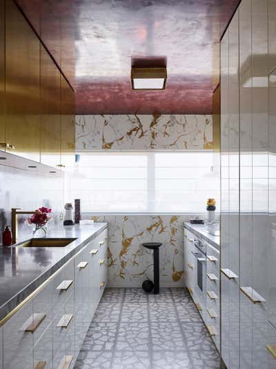  Modern Transitional Apartment Kitchen. Darlinghurst Apartment  by Greg Natale.