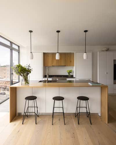  Transitional Contemporary Modern Bachelor Pad Kitchen. Clinton Hill Duplex by MK Workshop.