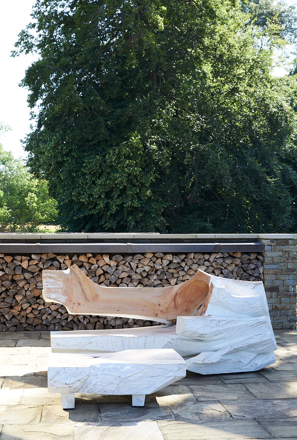 Mid-Century Modern Patio and Deck