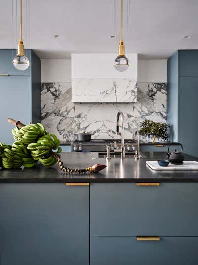  Modern Apartment Kitchen. Upper East Side Townhouse by Sara Story Design.