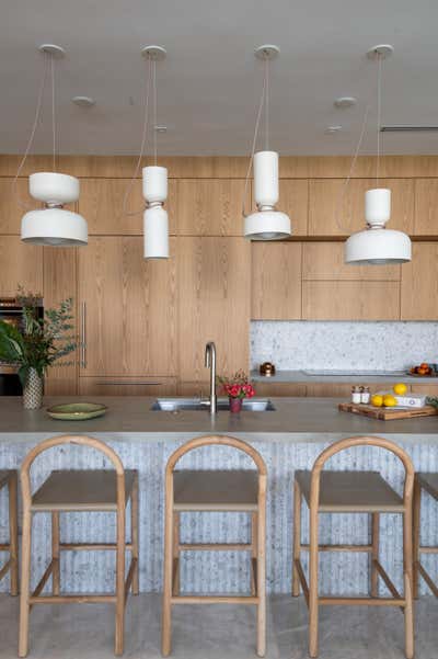  Scandinavian Apartment Kitchen. Edgewater Penthouse by Atelier Roy-Heckl.