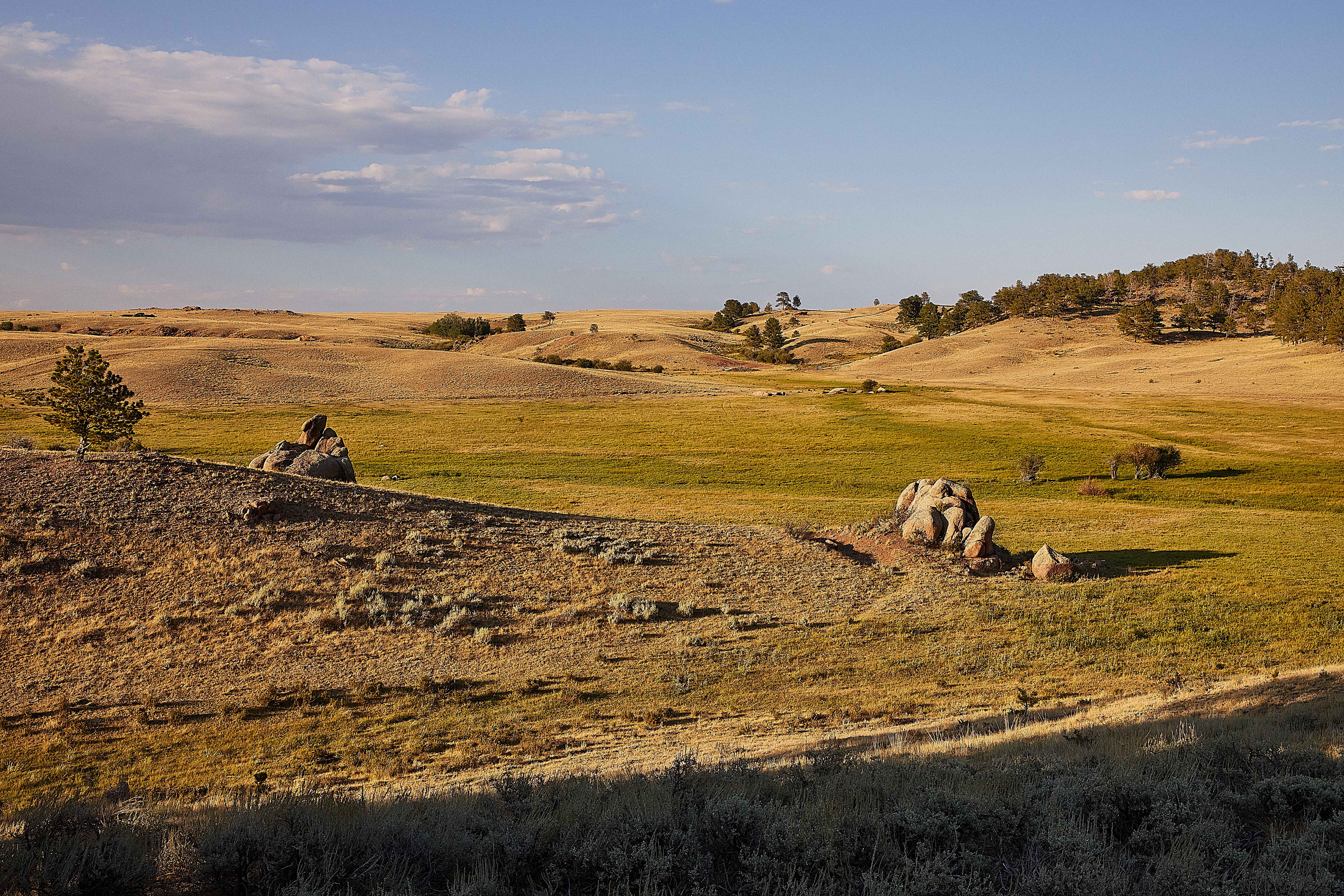 Remount Ranch by Andrea Schumacher Interiors | 1stDibs