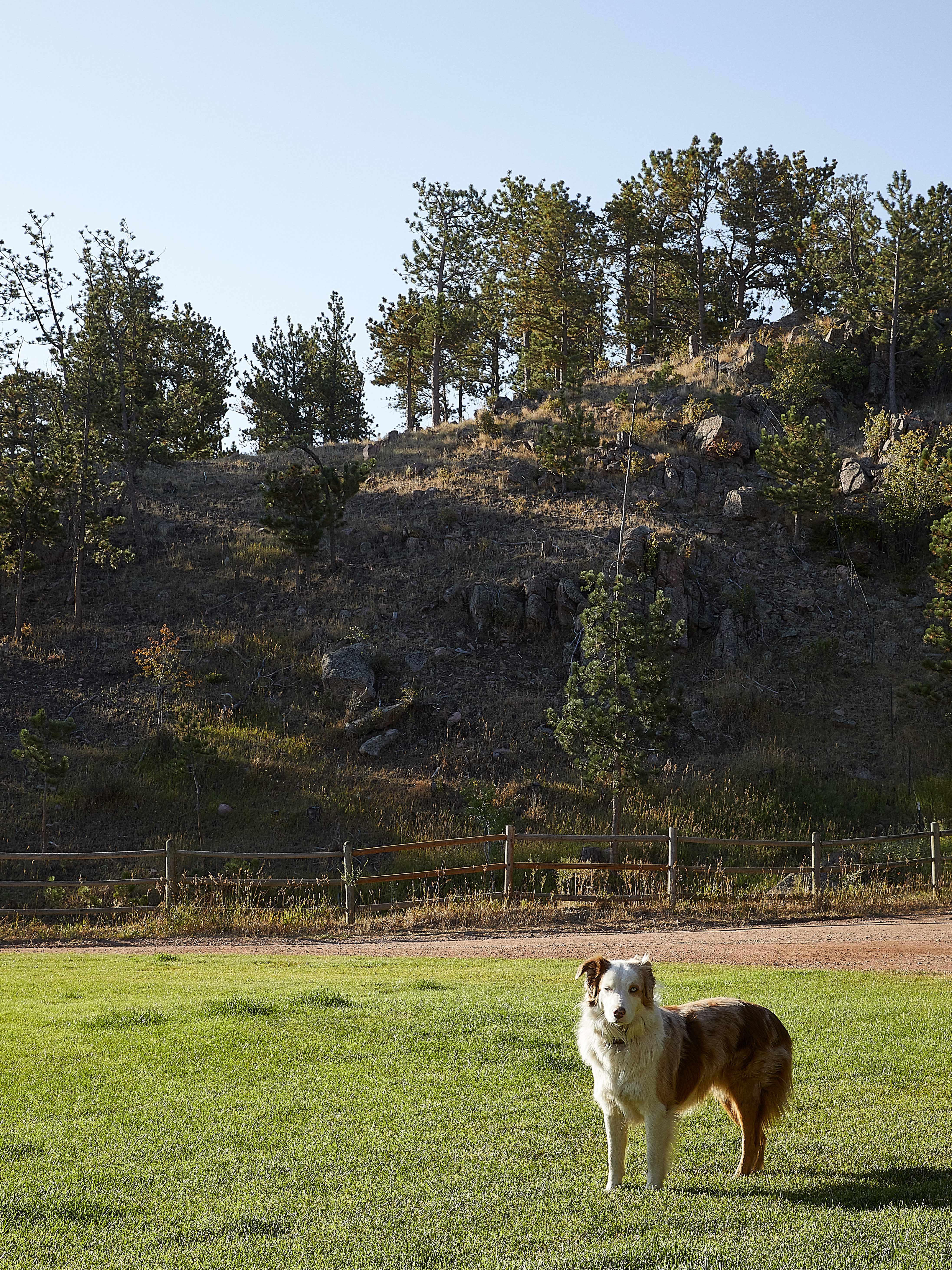 Remount Ranch by Andrea Schumacher Interiors | 1stDibs