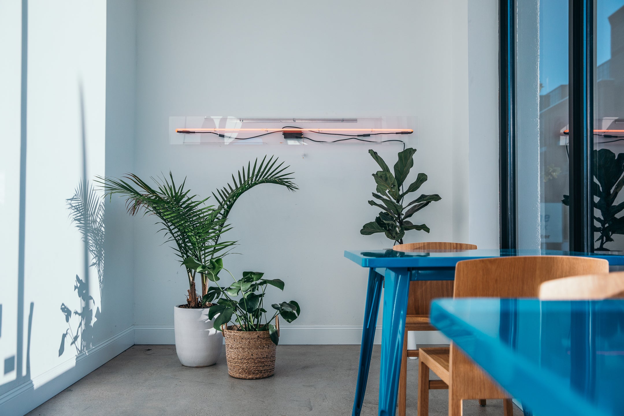 Modern Lobby and Reception