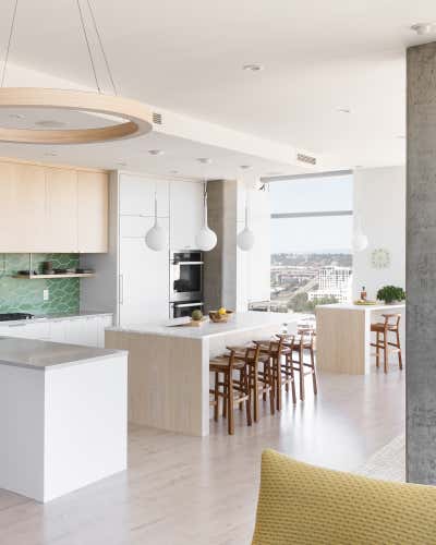  Minimalist Organic Apartment Kitchen. Downtown Penthouse by THESIS Studio Architecture.