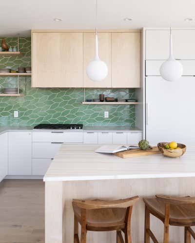  Organic Apartment Kitchen. Downtown Penthouse by THESIS Studio Architecture.