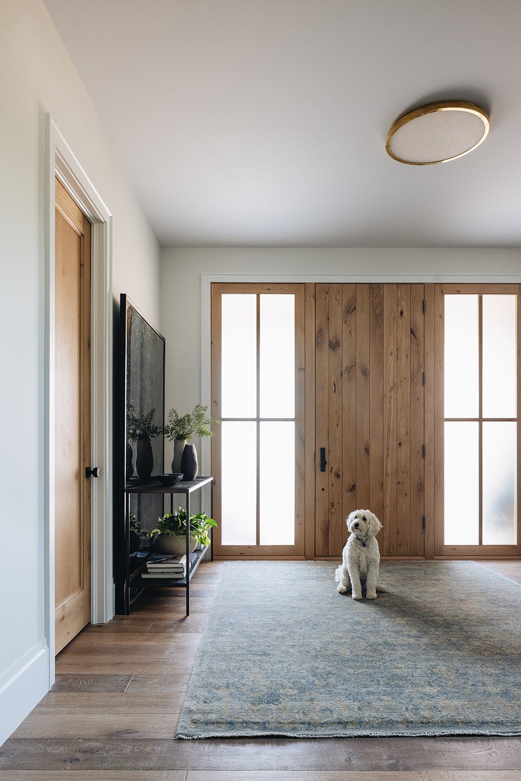 Transitional Entry and Hall