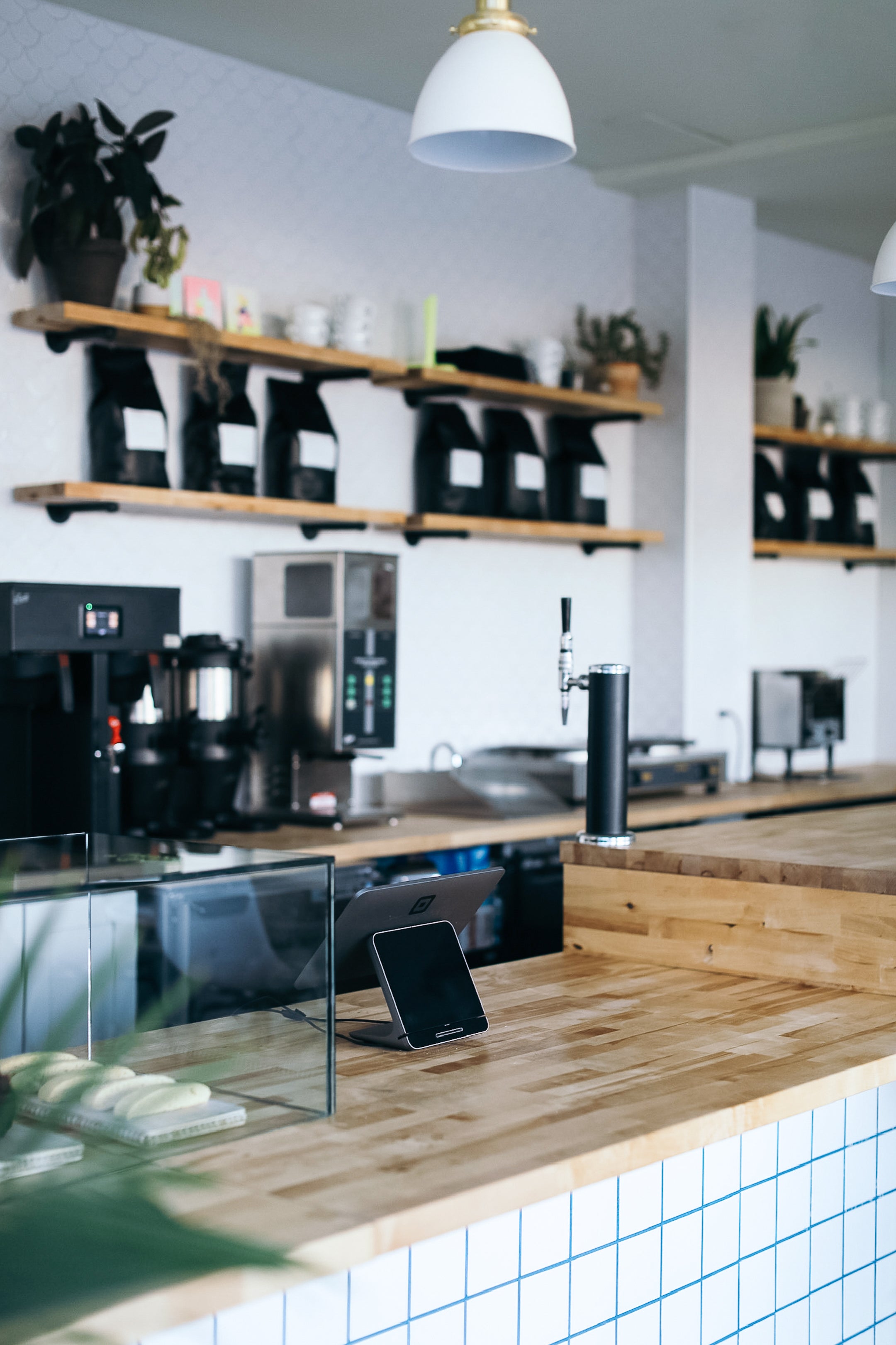 Modern Lobby and Reception