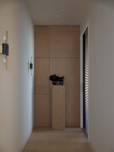  Contemporary Apartment Entry and Hall. Flowing walls by Lighthouse SRL.