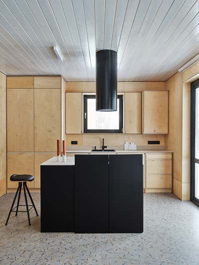  Scandinavian Kitchen. Private House by Petr Grigorash.