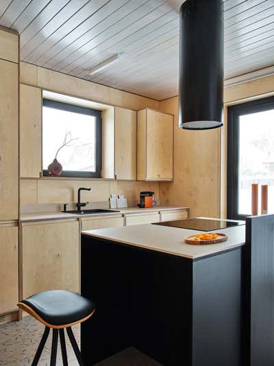  Scandinavian Kitchen. Private House by Petr Grigorash.