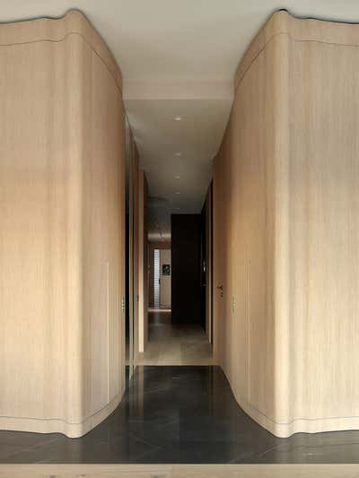  Contemporary Apartment Entry and Hall. Flowing walls by Lighthouse SRL.