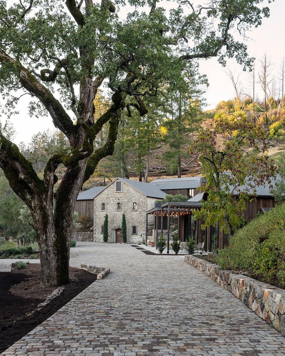 Contemporary Exterior