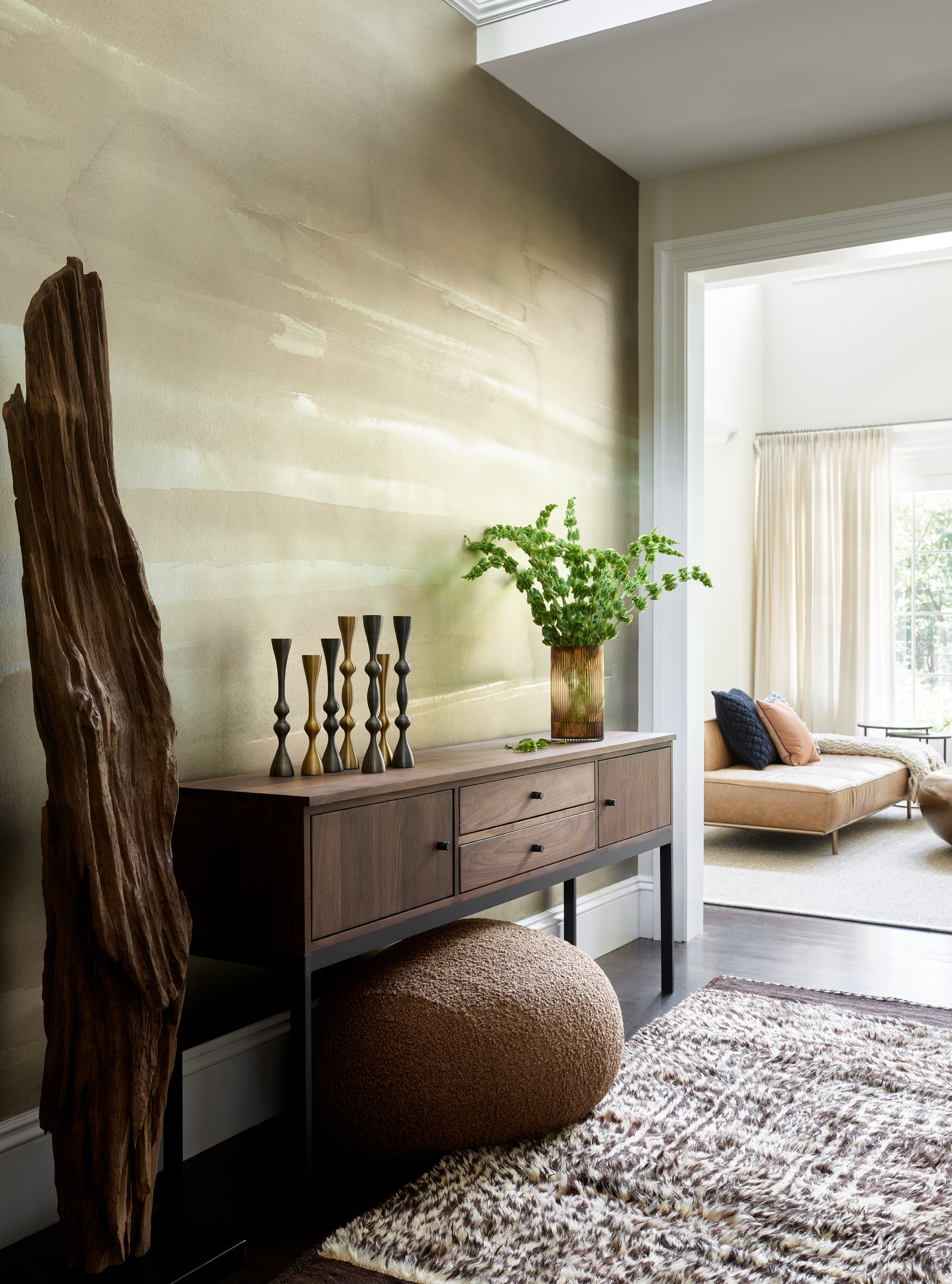 Contemporary Entry and Hall