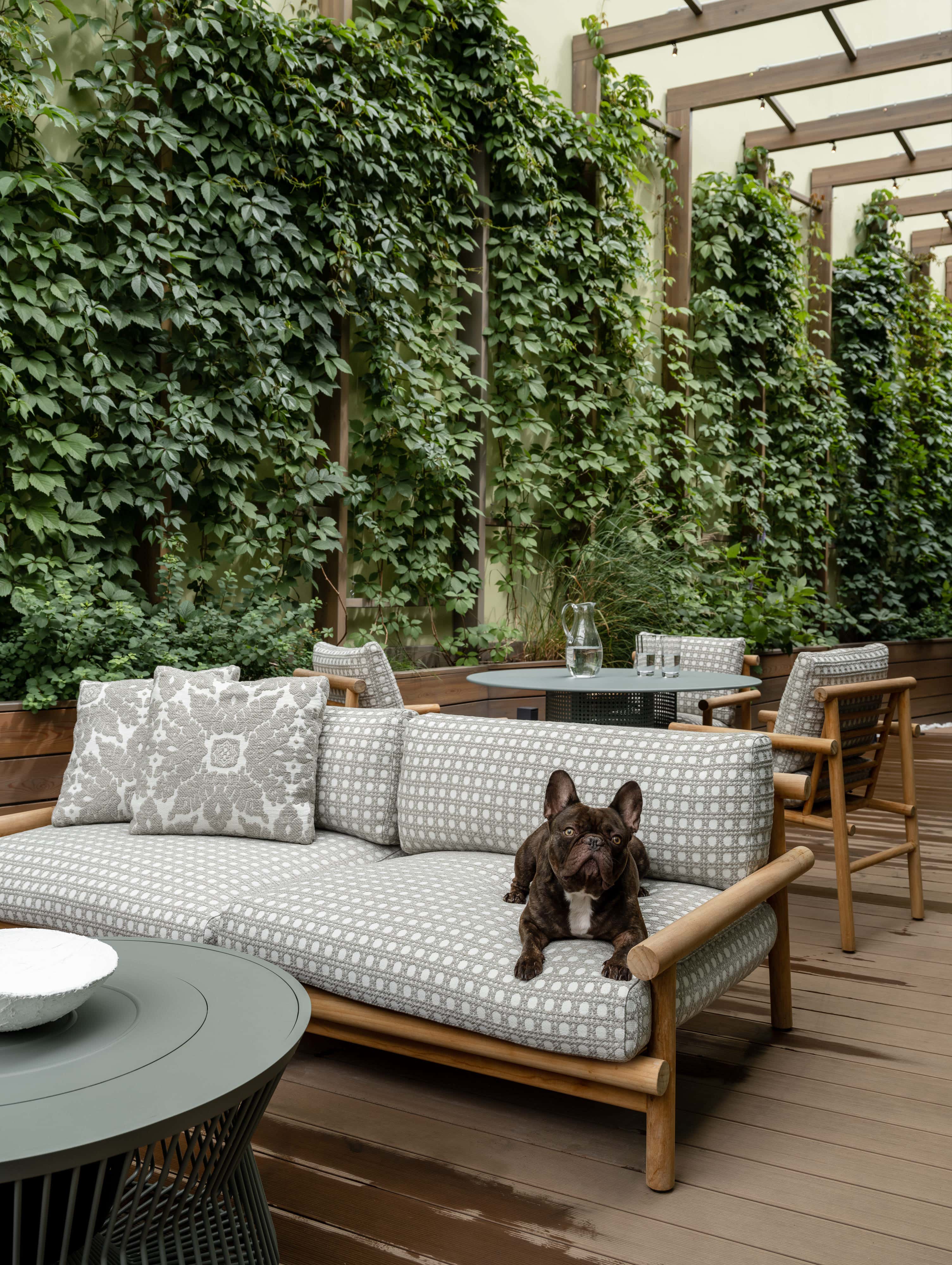 Modern Patio and Deck