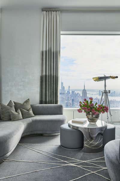  Transitional Contemporary Apartment Living Room. Penthouse in the Sky by Pembrooke & Ives.