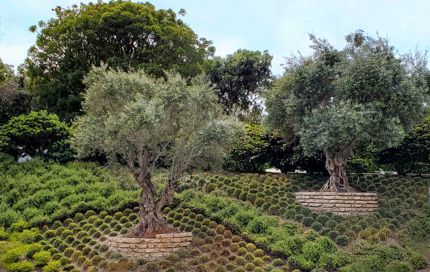 Beach Style Exterior