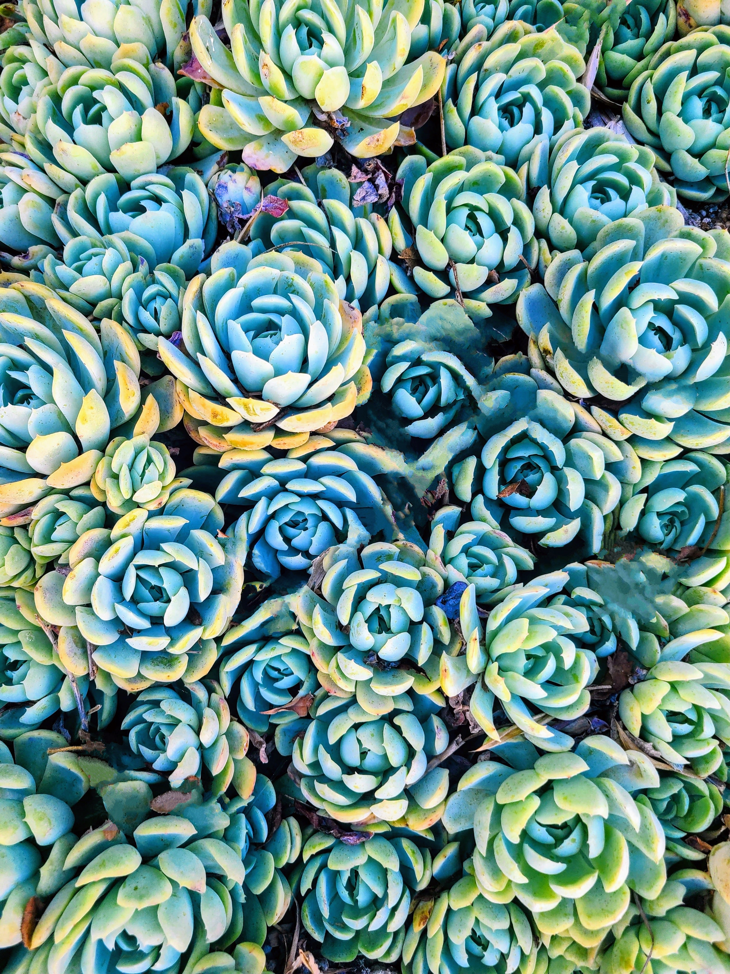 Beach Style Exterior