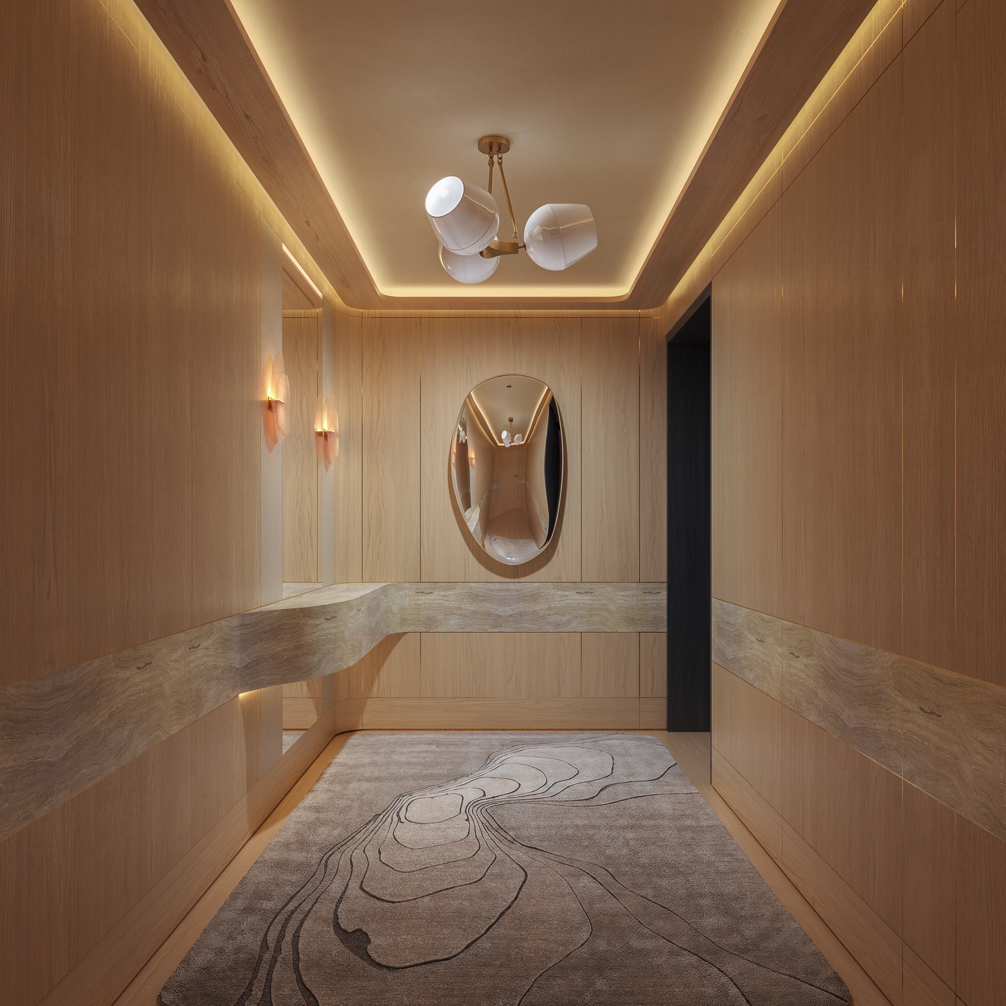 Contemporary Entry and Hall