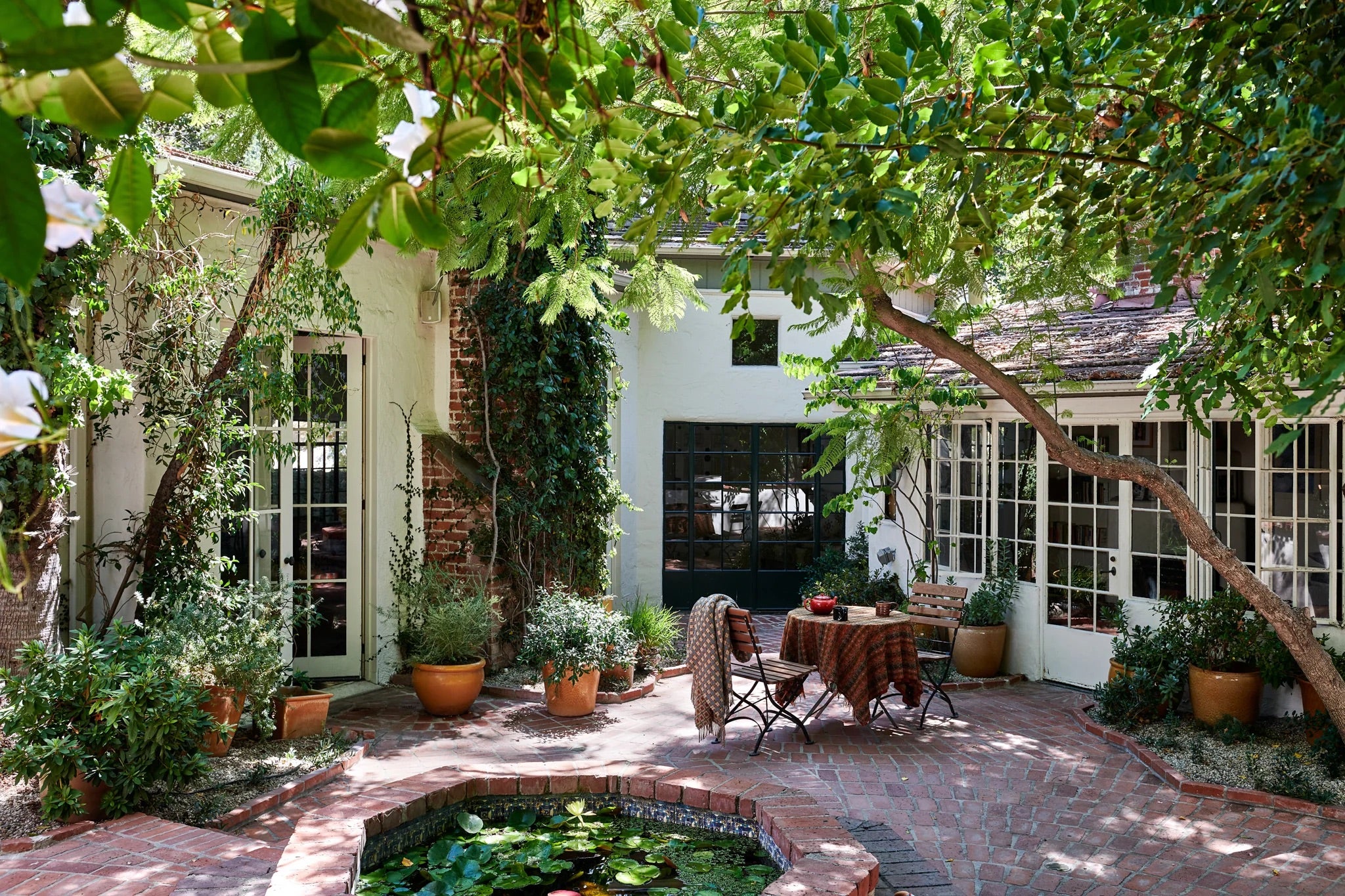 Transitional Exterior