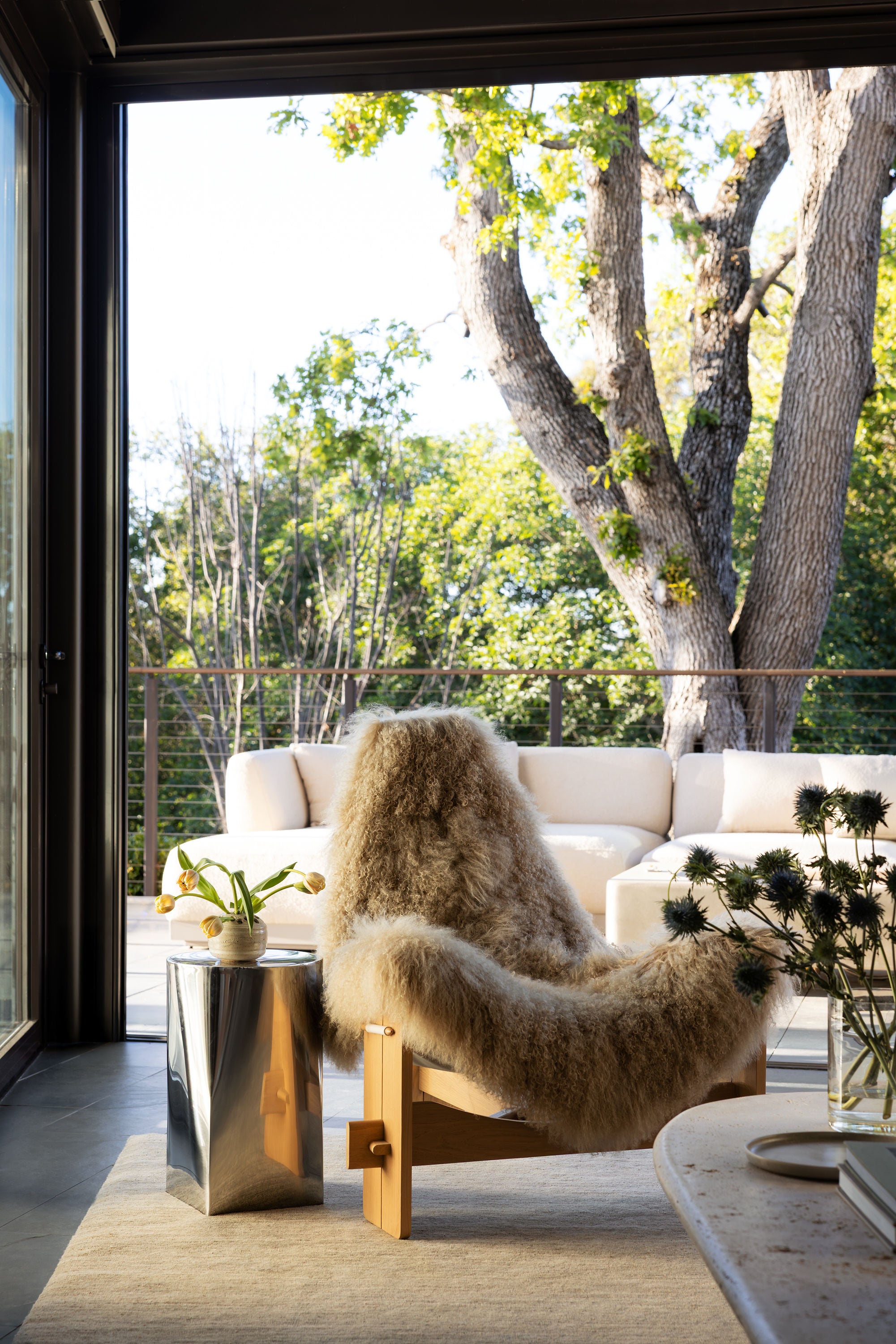 Modern Open Plan