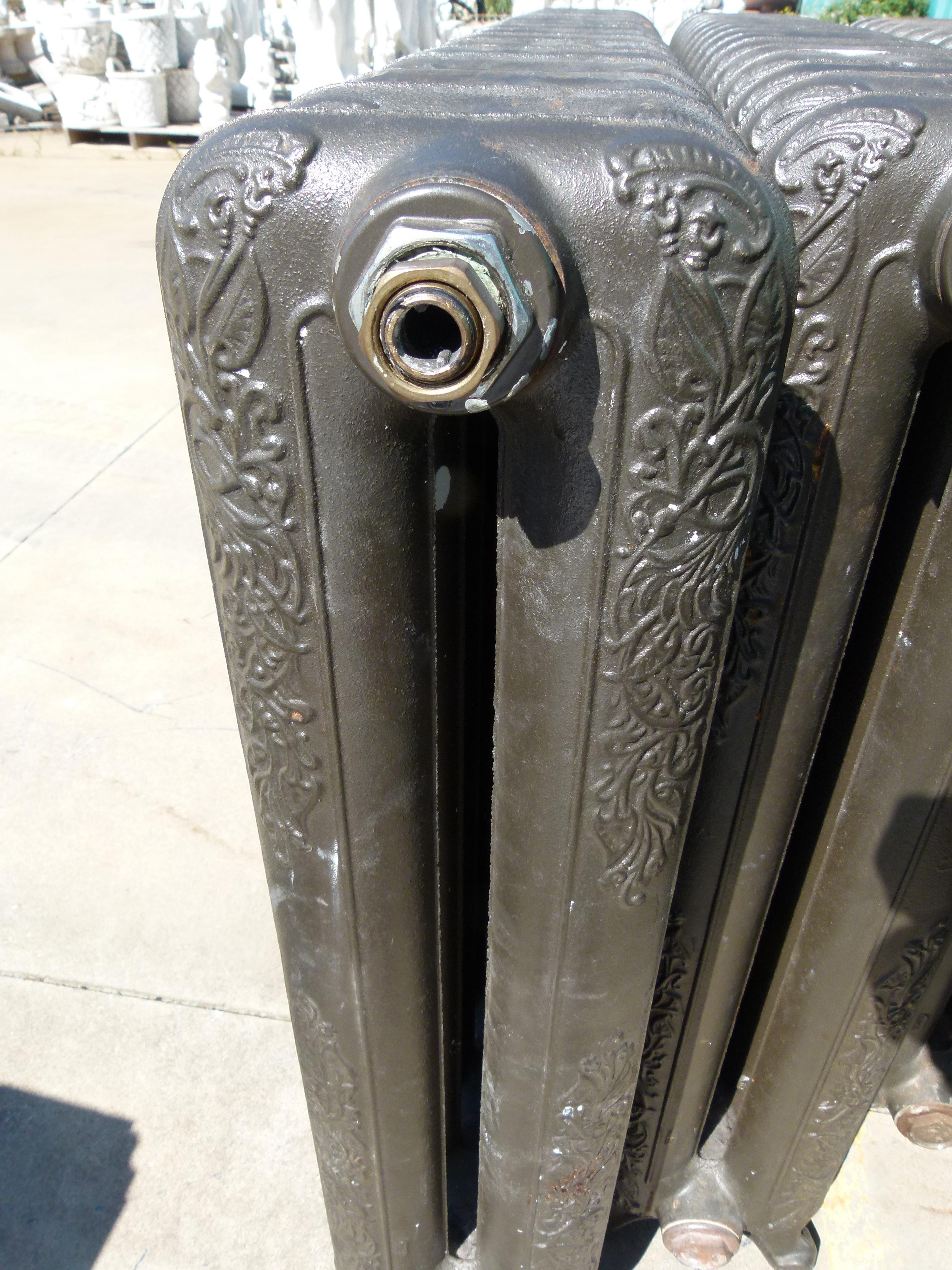 20th Century Traditional 2 Columns Art Nouveau Style Cast Iron Spanish Radiator