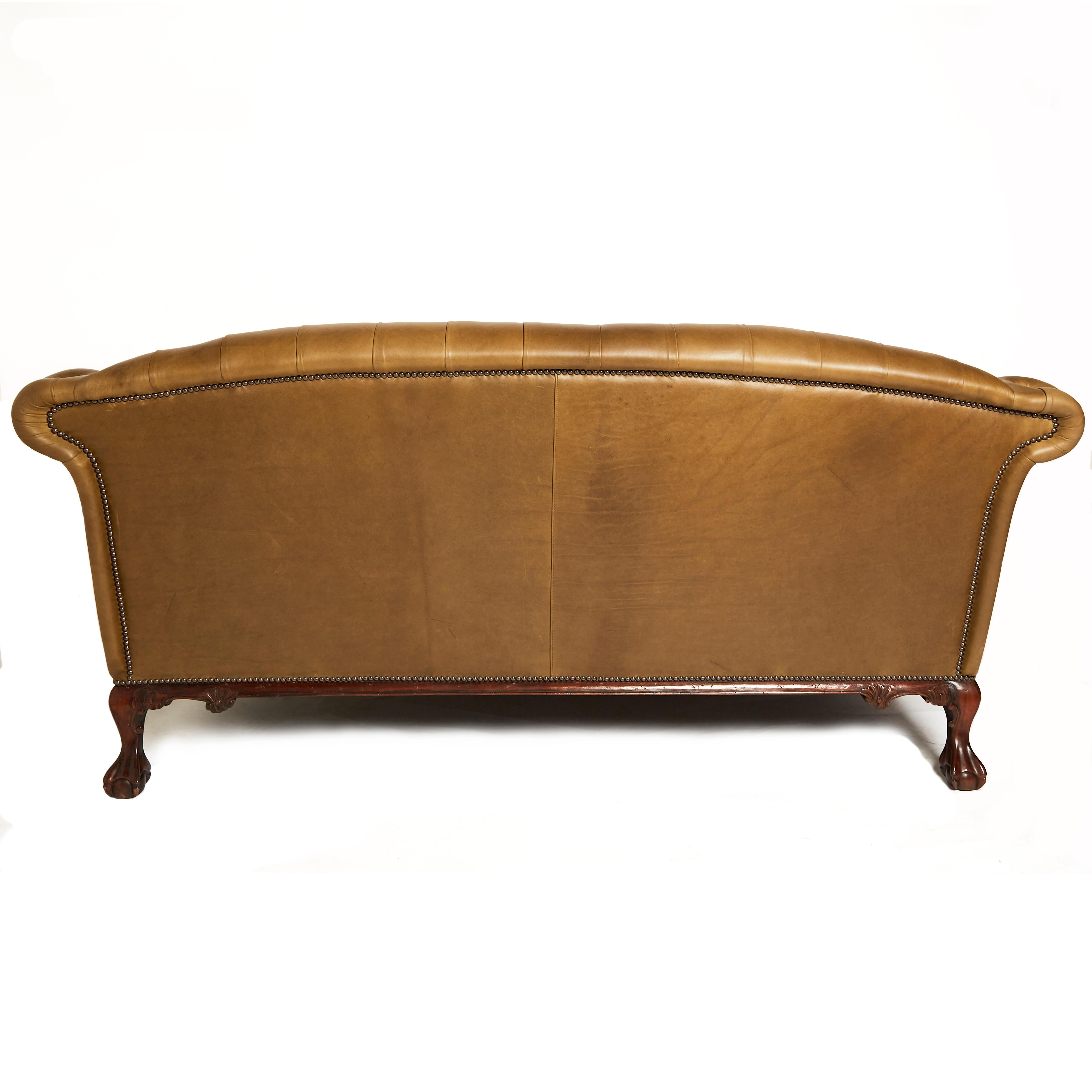 Traditional English Leather Shaped Back Chesterfield Sofa For Sale 1