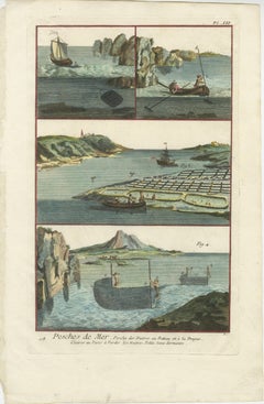 Traditional Maritime Harvest: Illustrated Techniques Engraved in 1793
