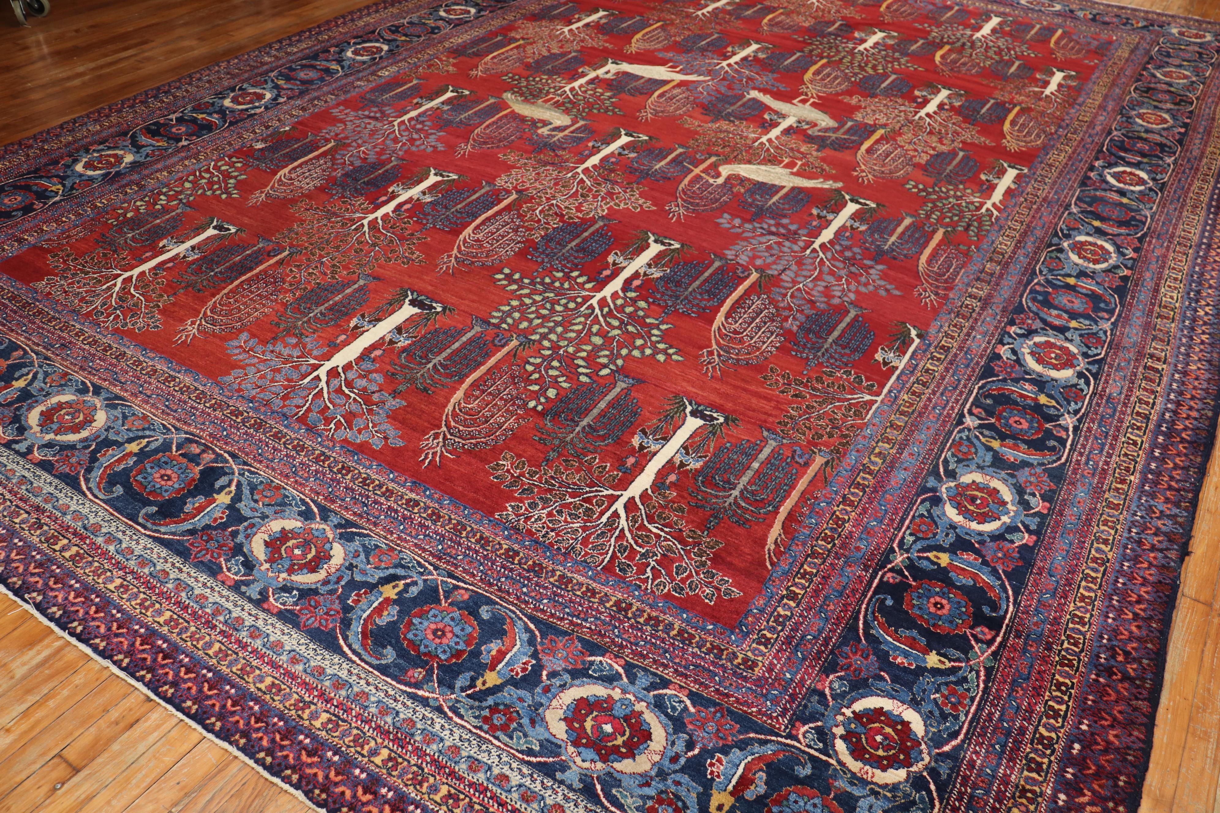 ostrich carpet