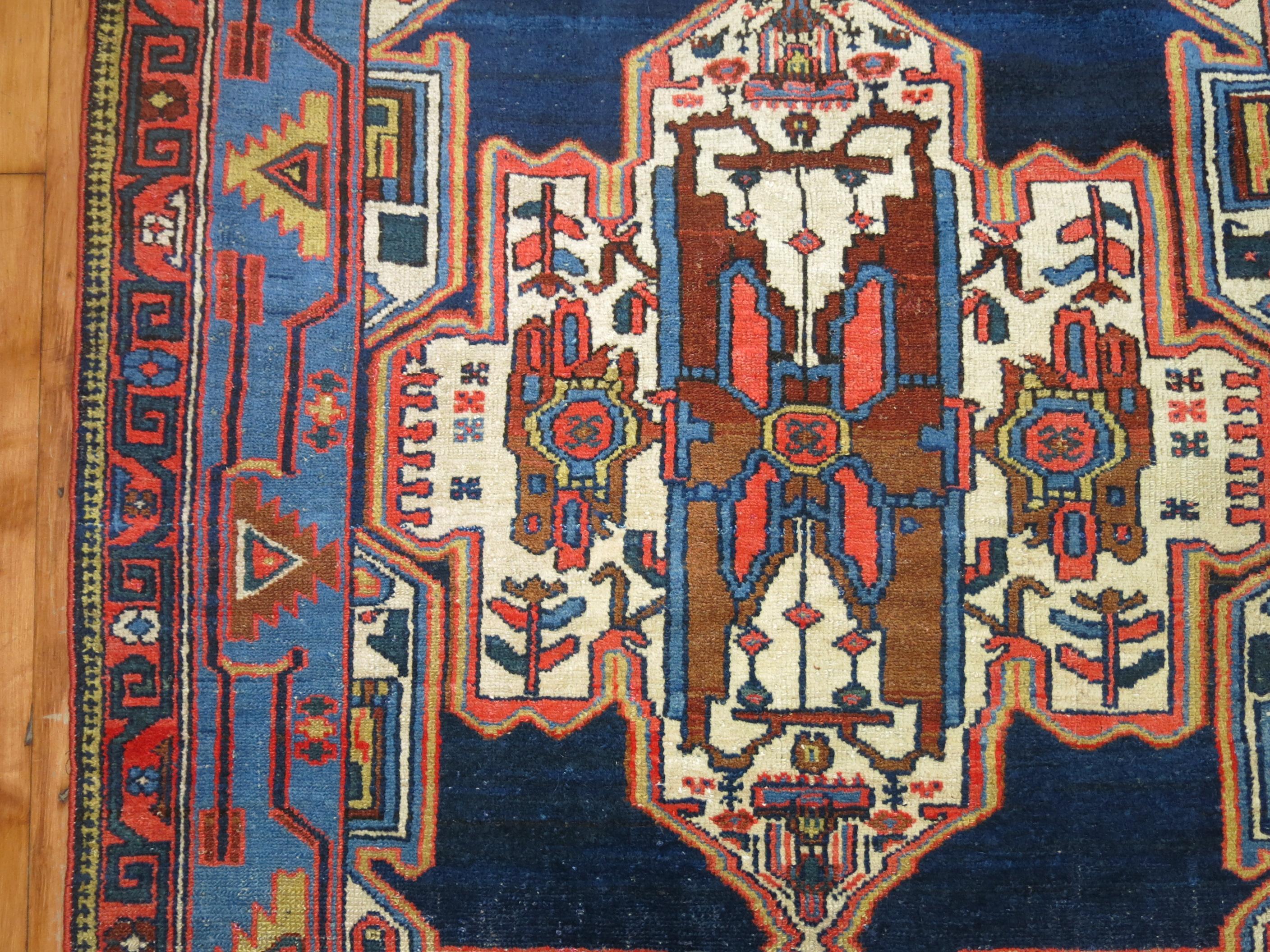 Hand-Woven Traditional Persian Bakhtiari Rug