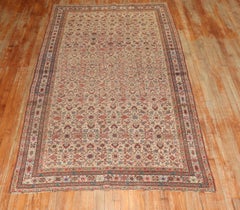 Tappeto tradizionale persiano Ferehan del XX secolo