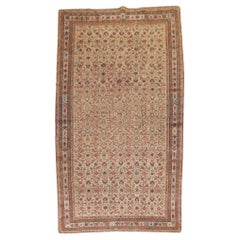 Alfombra Persa Tradicional Ferehan Siglo XX