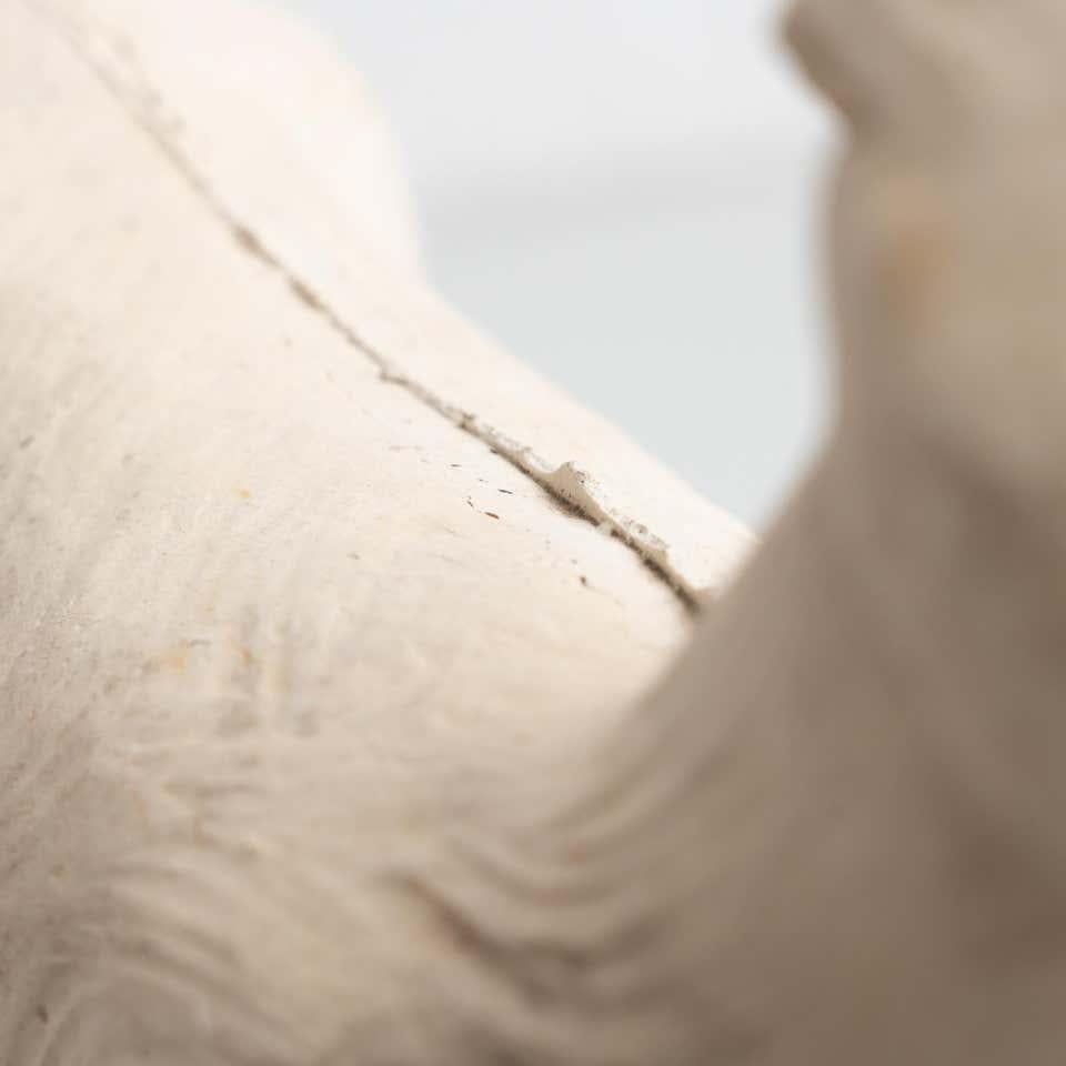 Traditional Plaster Figure of a Dog, circa 1950 For Sale 12