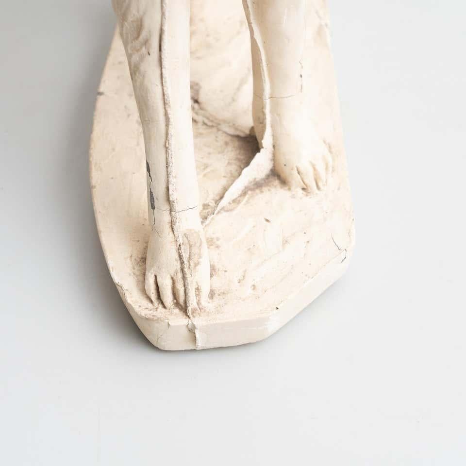 Traditional Plaster Figure of a Dog, circa 1950 For Sale 13