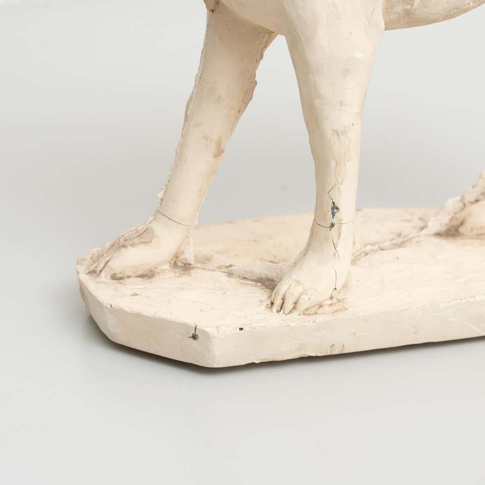 Traditional Plaster Figure of a Dog, circa 1950 For Sale 2