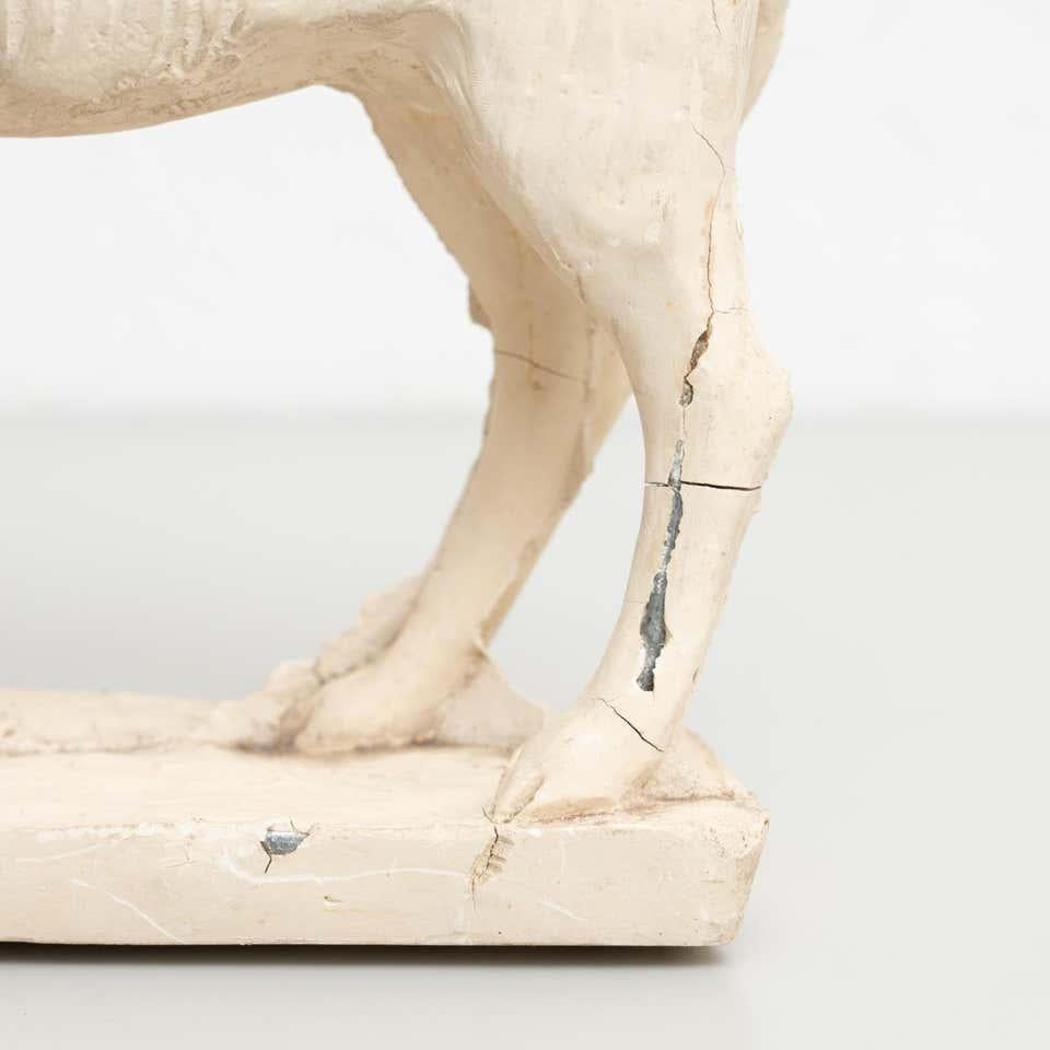Traditional Plaster Figure of a Dog, circa 1950 For Sale 3