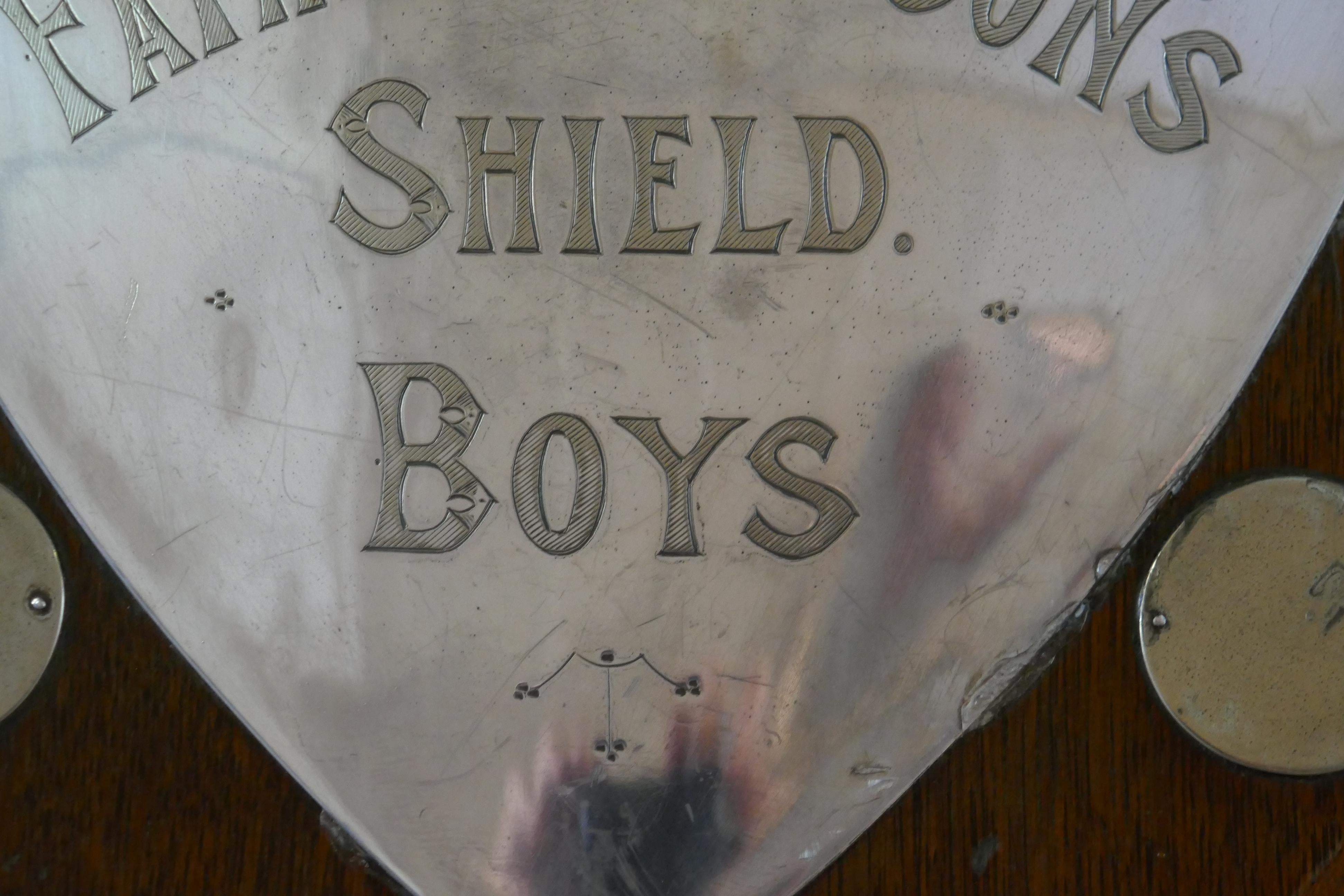 Traditional Shield Swimming Trophy In Good Condition For Sale In Godshill, Isle of Wight